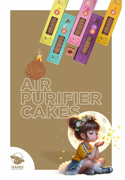Air Purifier Cake